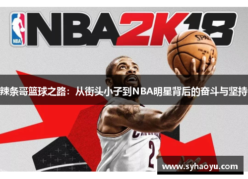 辣条哥篮球之路：从街头小子到NBA明星背后的奋斗与坚持